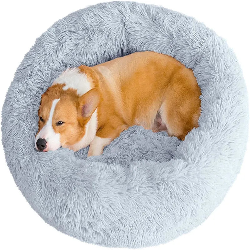 Lit confortable forme arrondi pour Chien